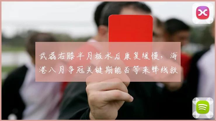 武磊右膝半月板术后康复缓慢，海港八月争冠关键期能否等来锋线救星？